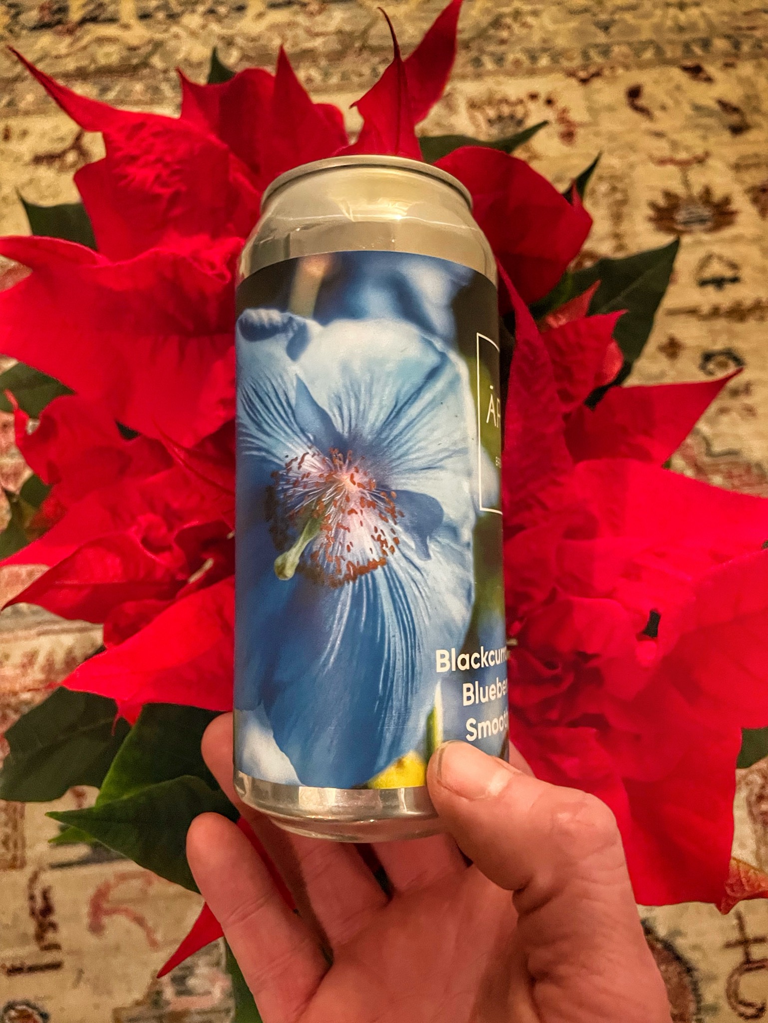 Blackcurrant x Cherry x Blueberry x Mango Smoothie Sour Ale, Latvia