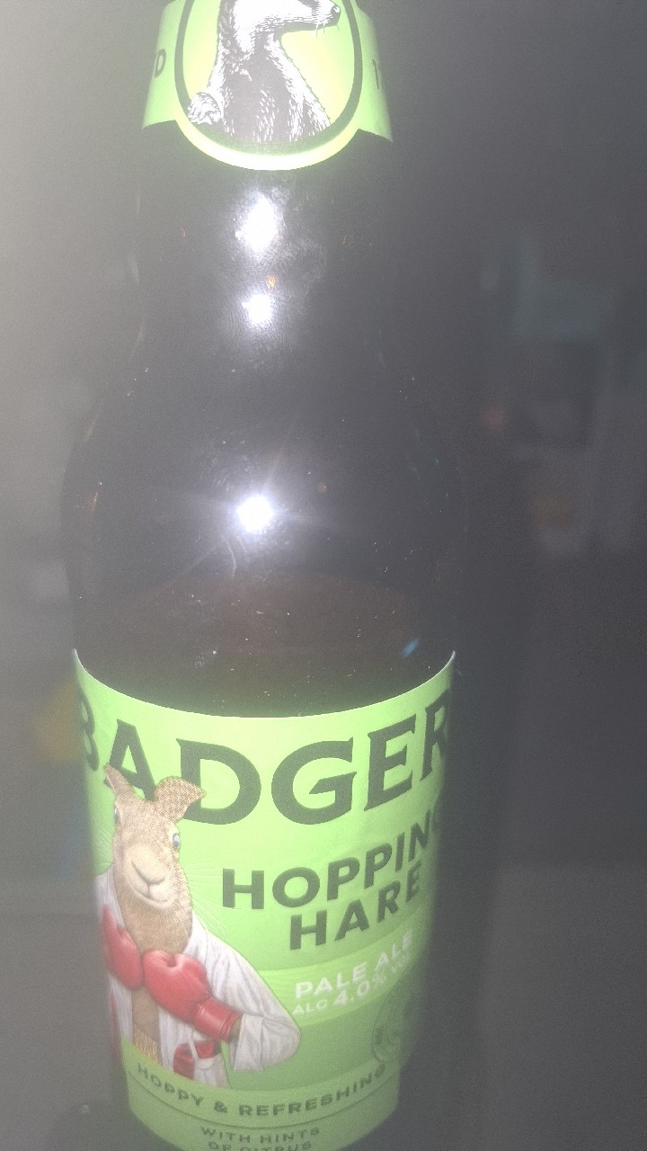 The Hopping Hare, Badger Brewery (Hall & Woodhouse)