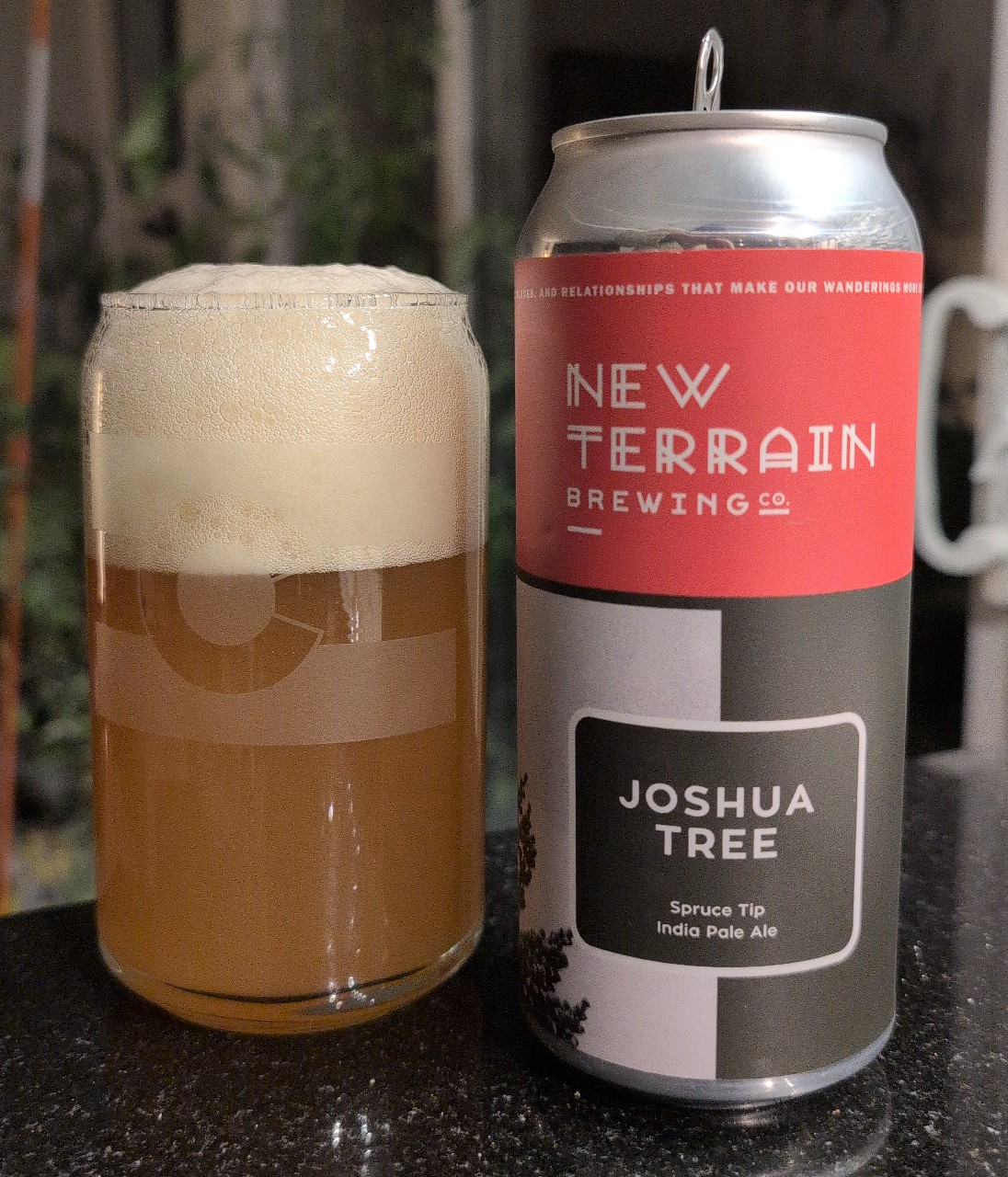 Joshua Tree, New Terrain Brewing Company