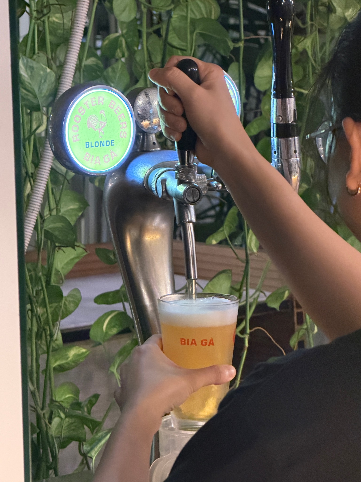 Rooster Blonde, Vietnam