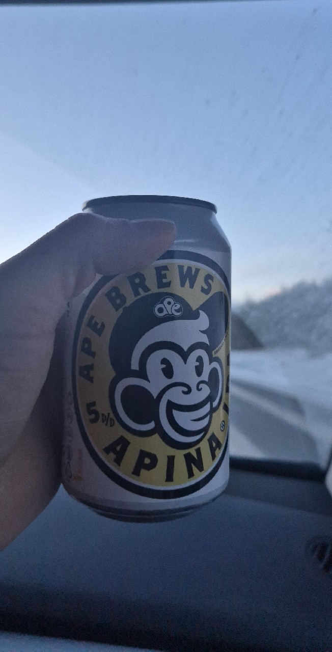 Ape Brews Apina Ipa, United Gypsies (UG) Brewery