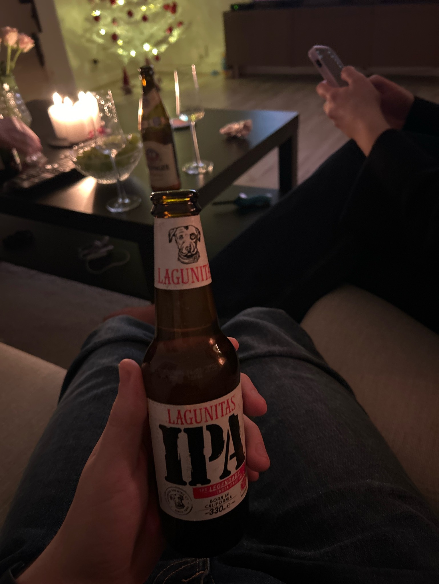 Lagunitas IPA, United States