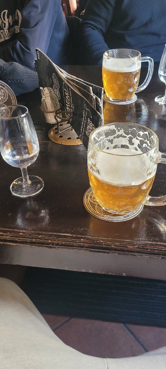 Bratislavský Ležiak 12°, Bratislavský Meštiansky Pivovar