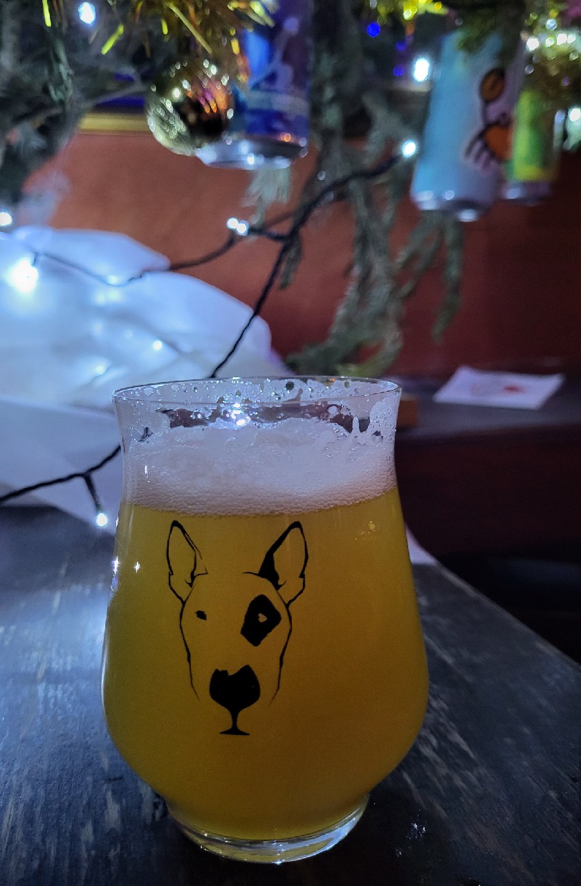 Popular Punch, Les Intenables - Craft Beer