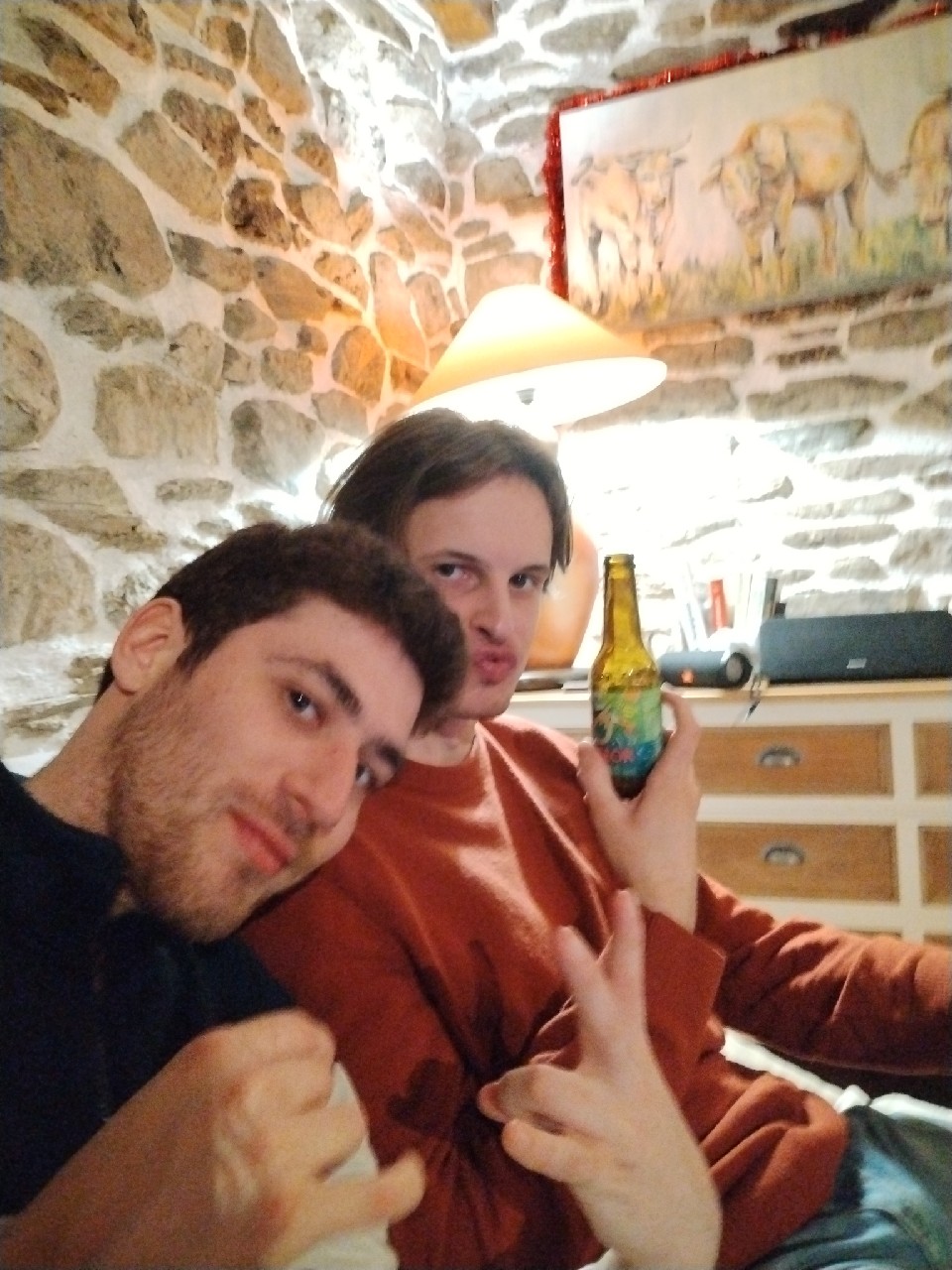 Meteor IPA, Brasserie Meteor