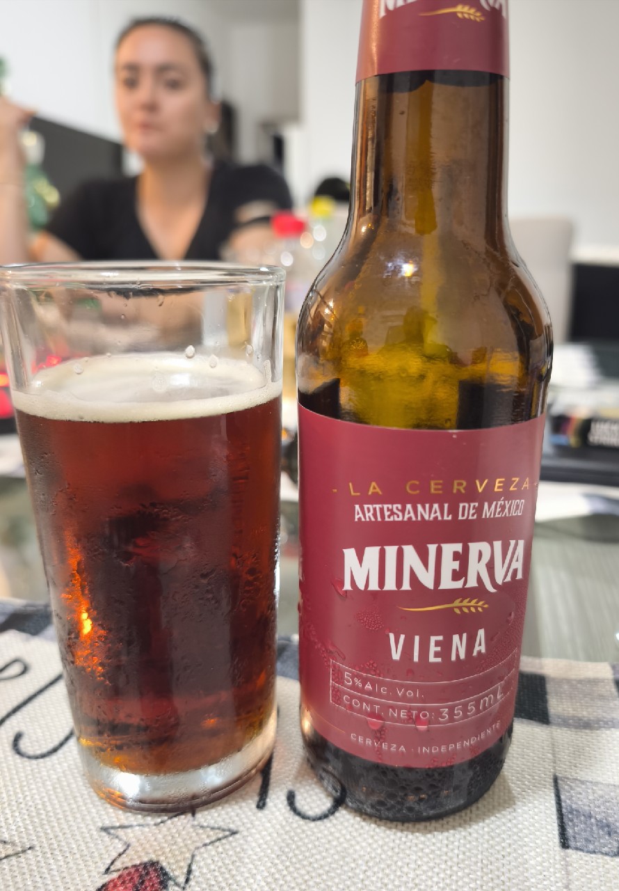 Minerva Viena, Minerva