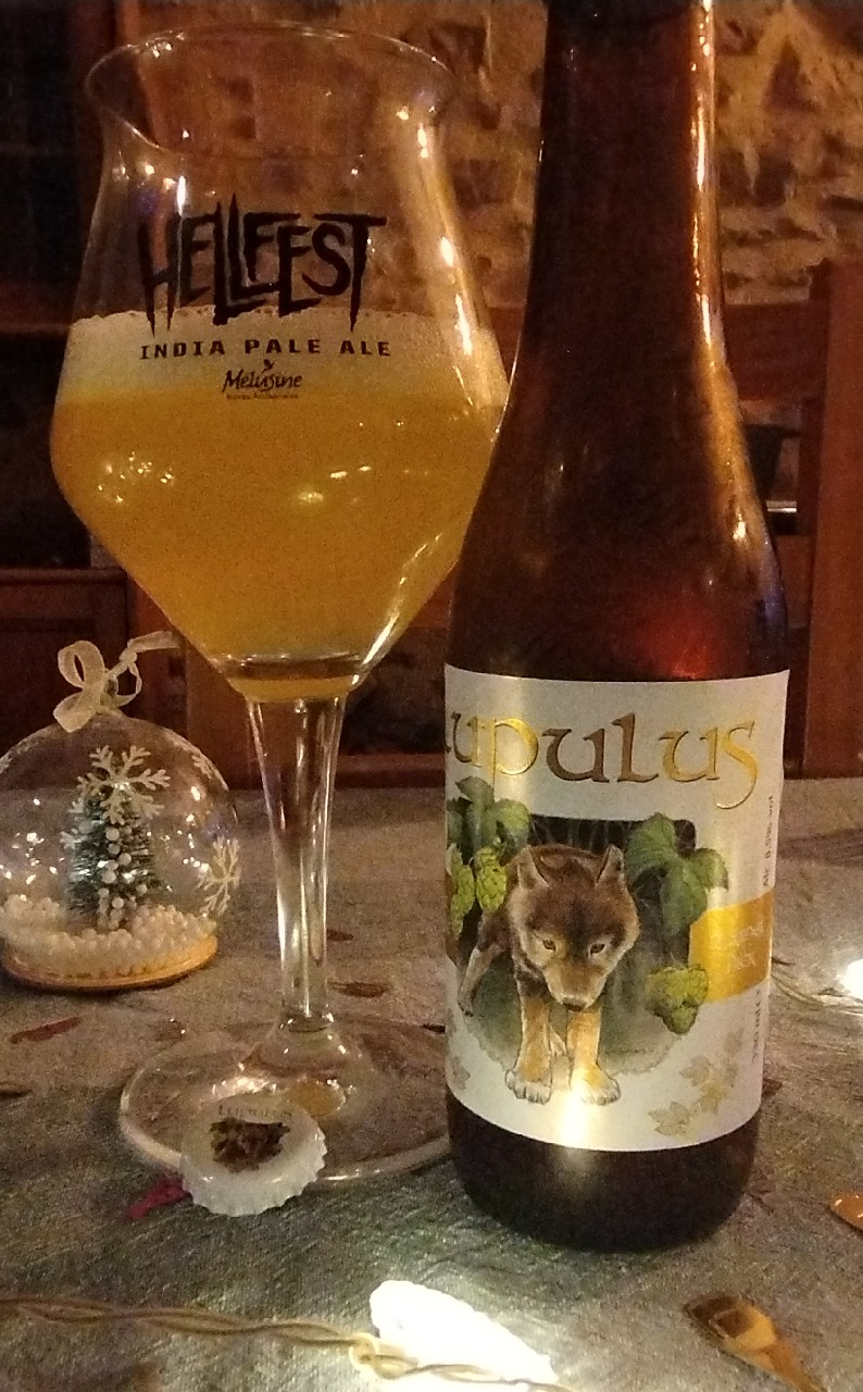 Lupulus Blonde / Triple, Belgium