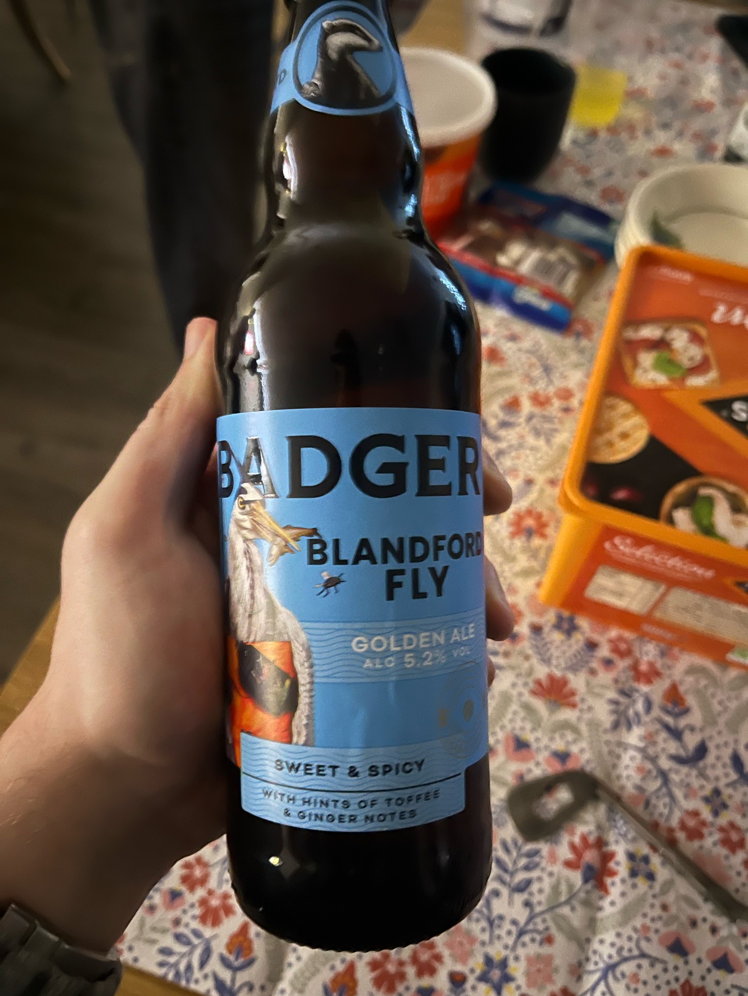 The Blandford Fly, England