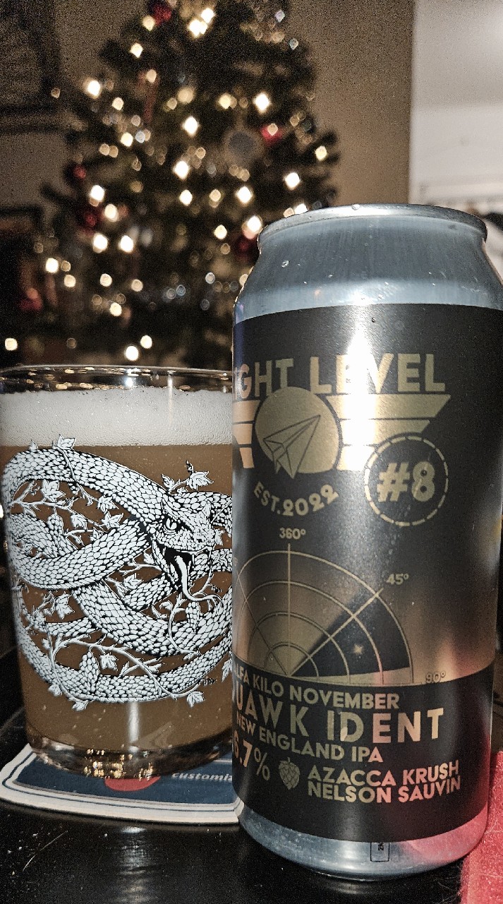 Alfa Kilo November Squawk Ident #8, Flight Level Brewing