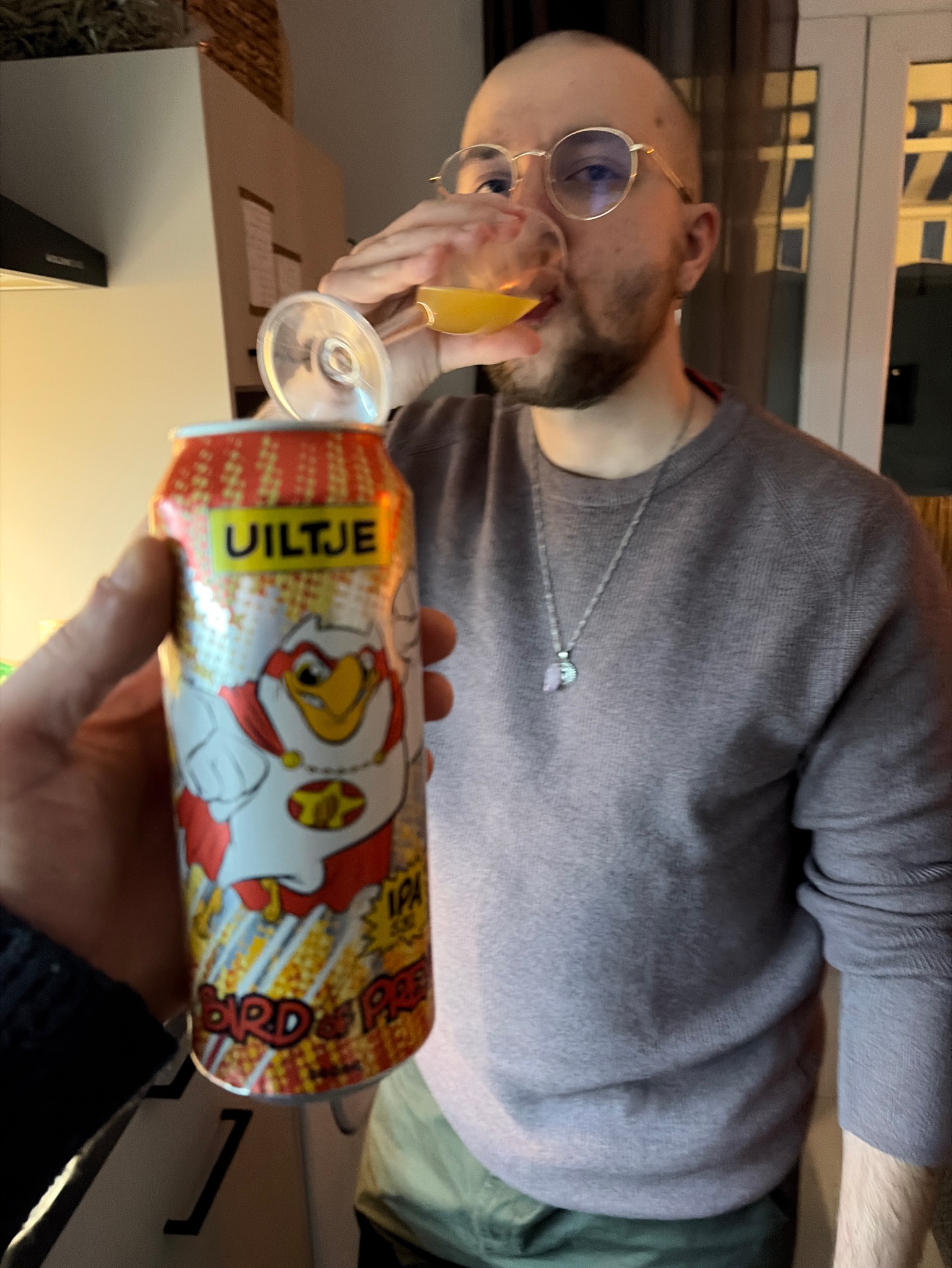 Bird Of Prey, Netherlands