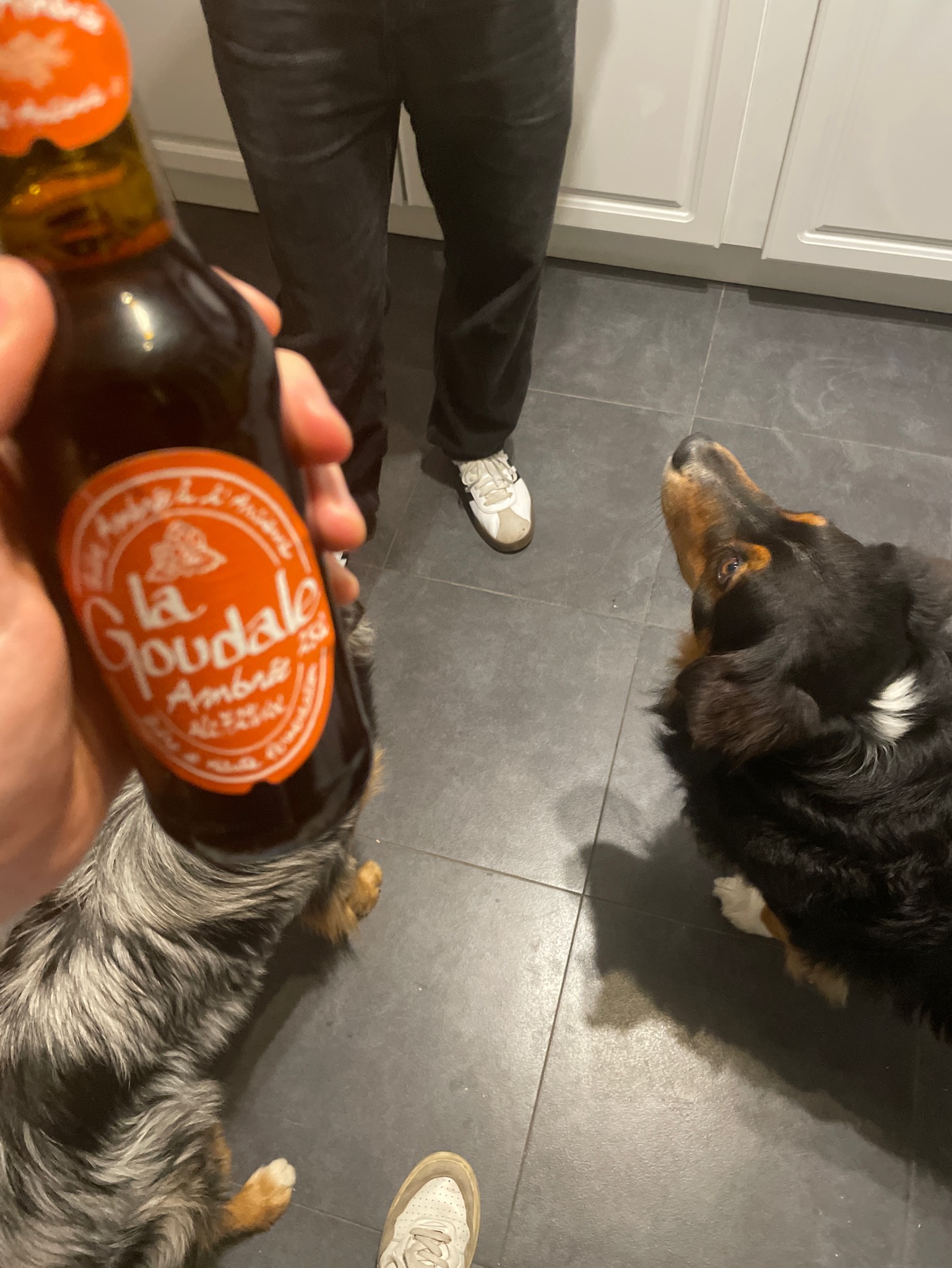 La Goudale Ambrée, Brasserie Goudale (De Gayant)