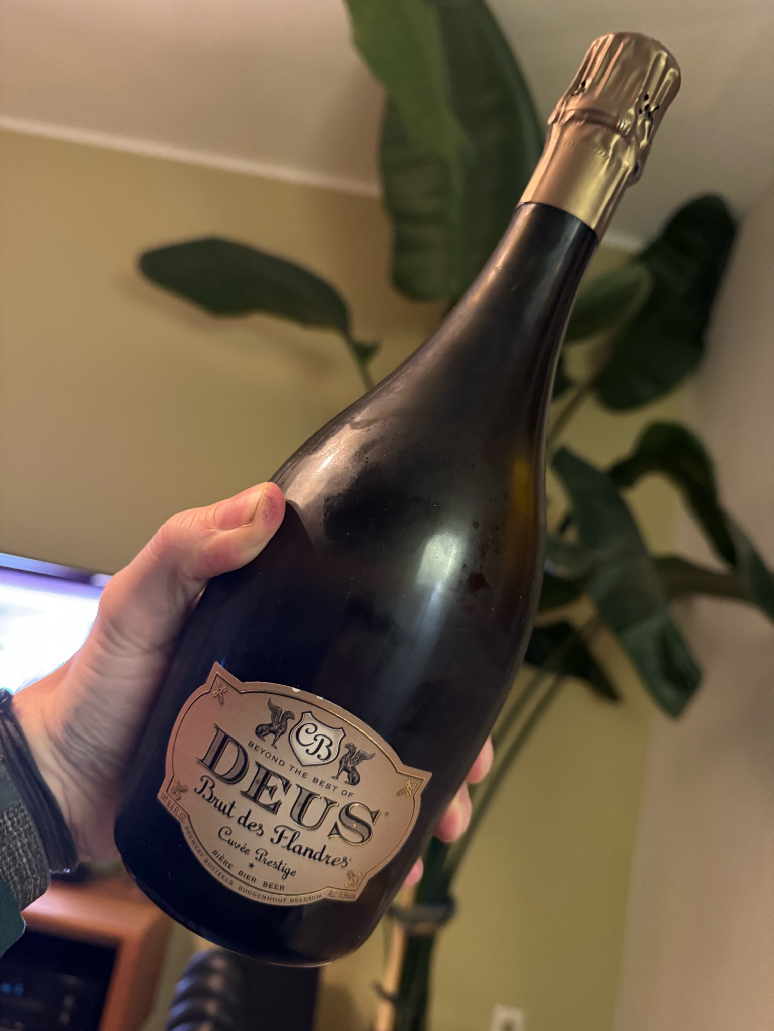 DeuS (Brut Des Flandres), Belgium