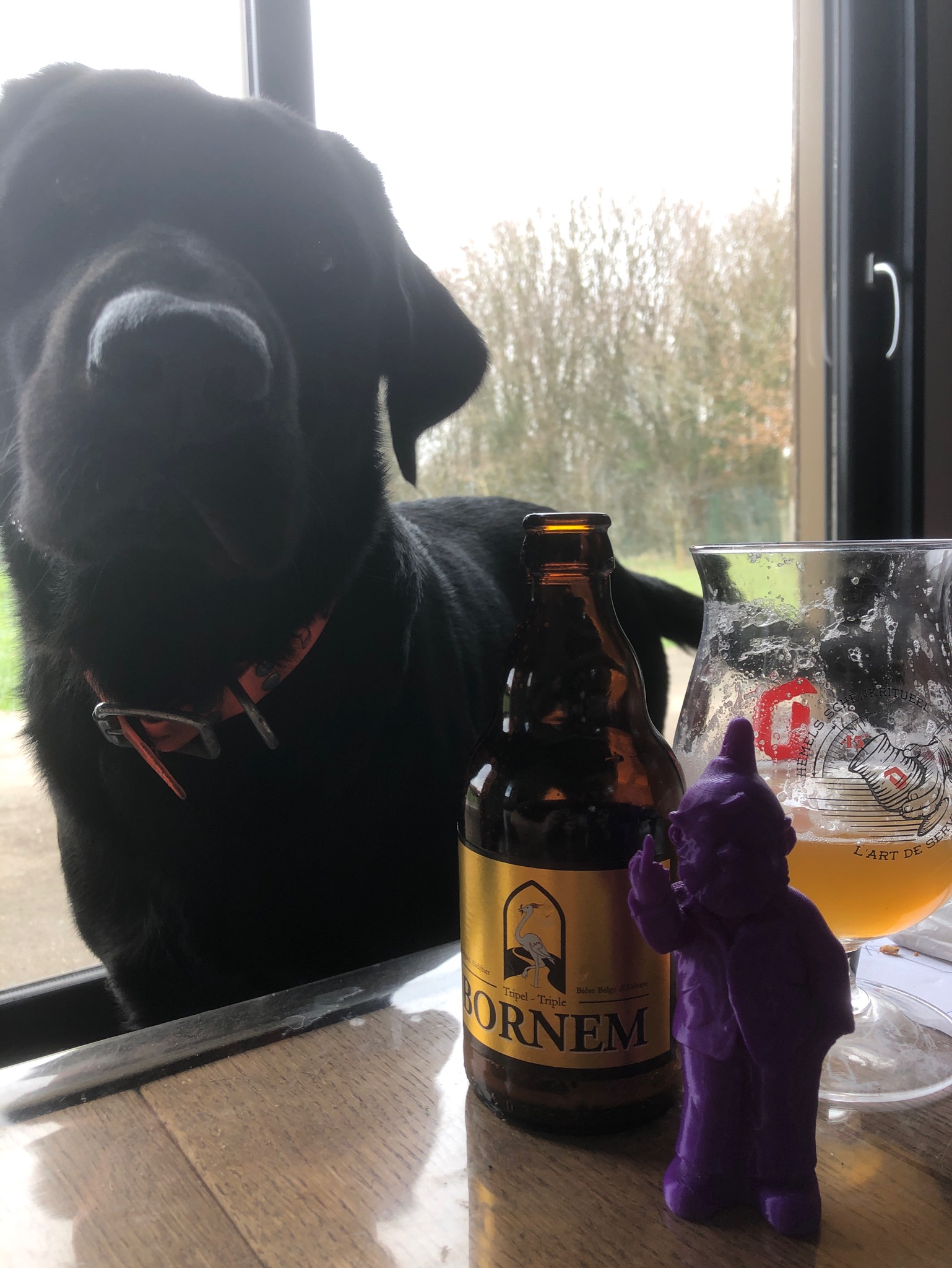 Bornem Tripel - Triple, Belgium