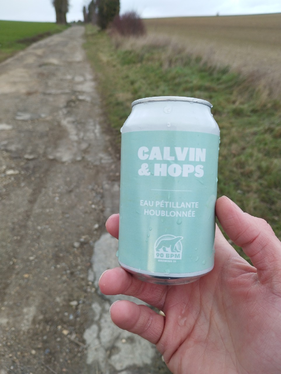 Calvin & Hops, 90 BPM Brewing Co.