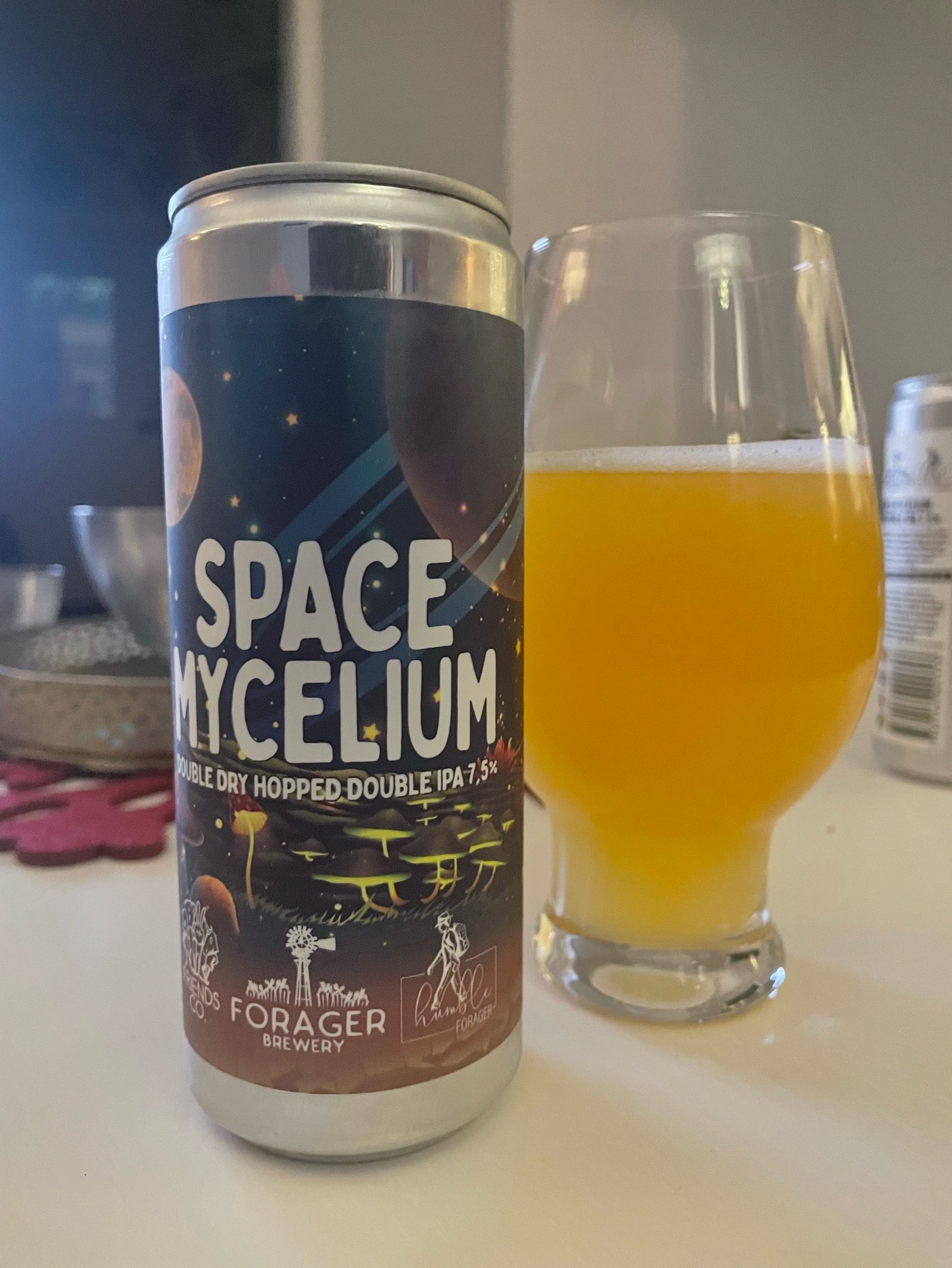 Space Mycelium DDH, Friends Company