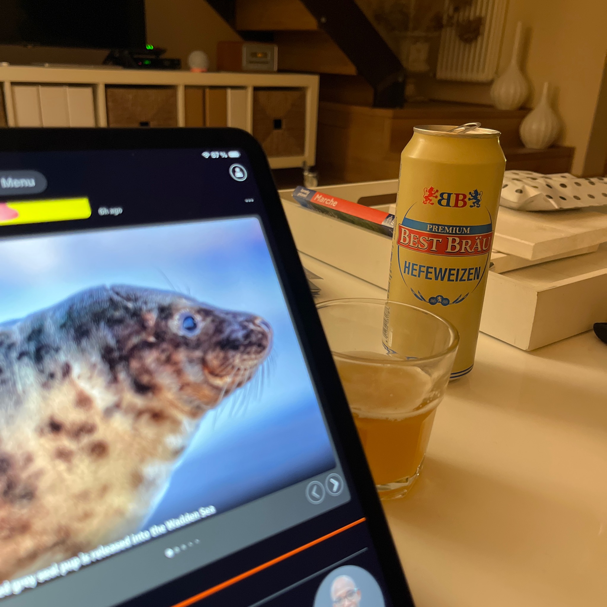 Best Bräu Premium Hefeweizen, Castello di Udine Spa