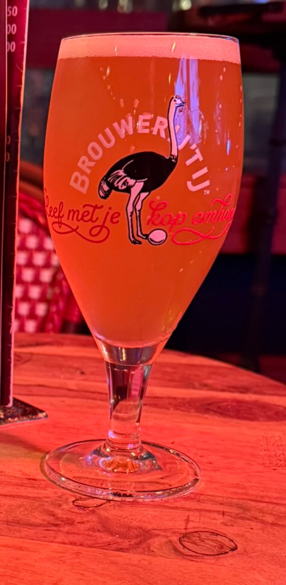 IJWit, Brouwerij 't IJ