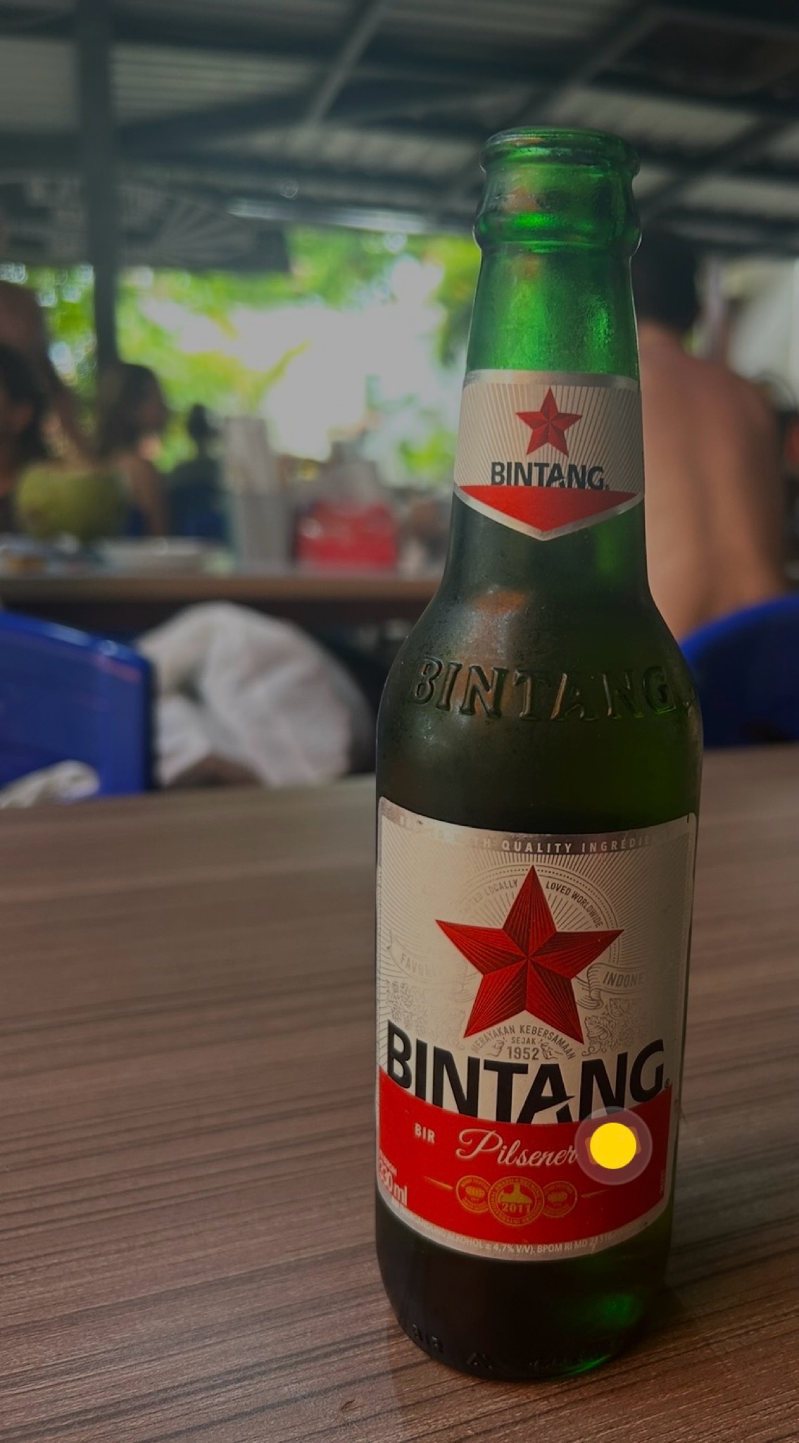 Bintang Pilsener, PT Multi Bintang Indonesia (Heineken)
