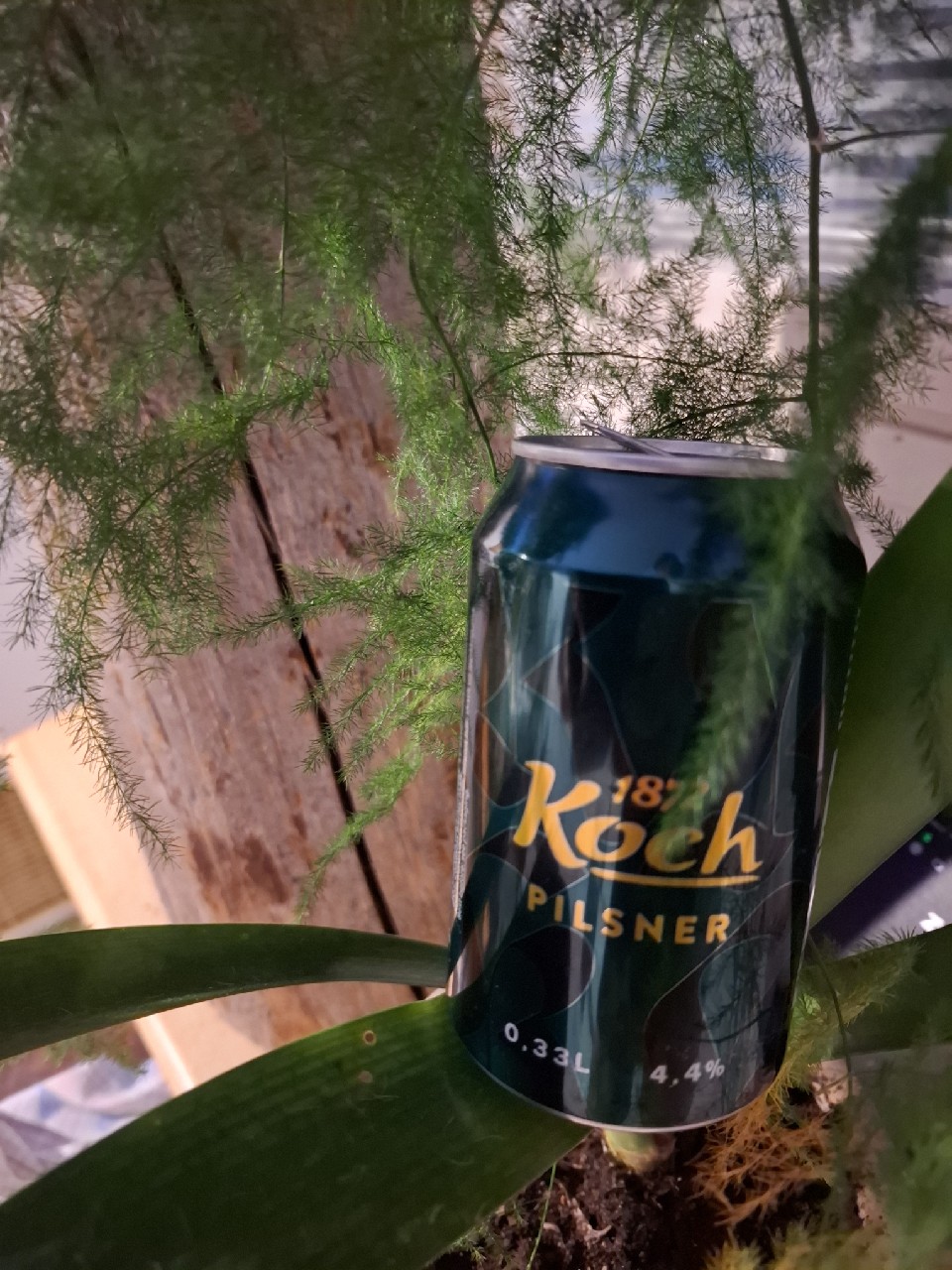 1872 Koch Pilsner, Koch Brewery