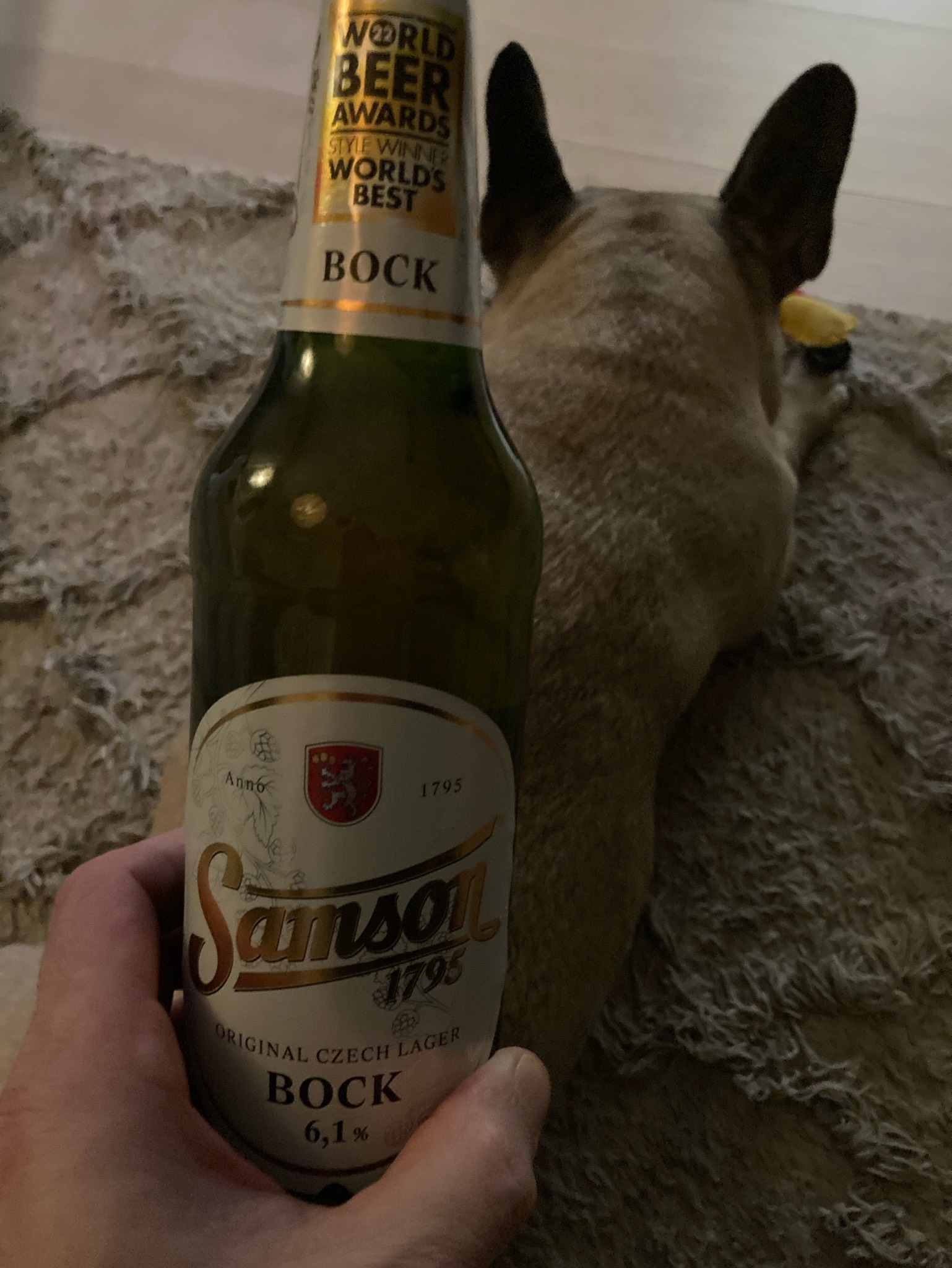 Samson Bock, Pivovar Samson (A-B InBev)
