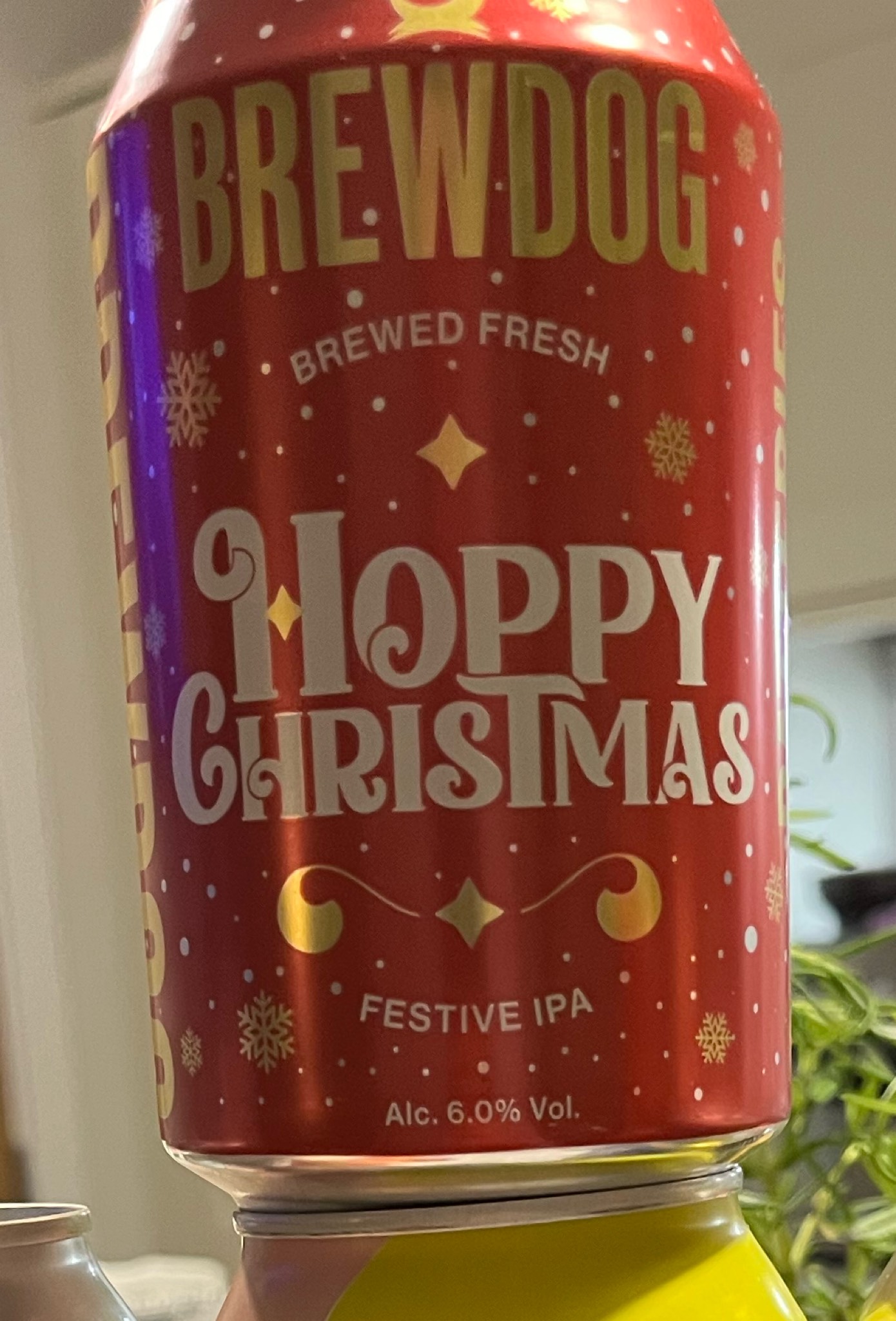 Hoppy Christmas, Scotland