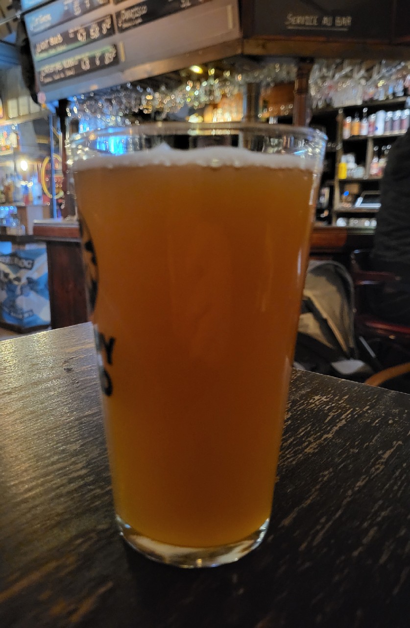 cat empire, Brasserie Nautile