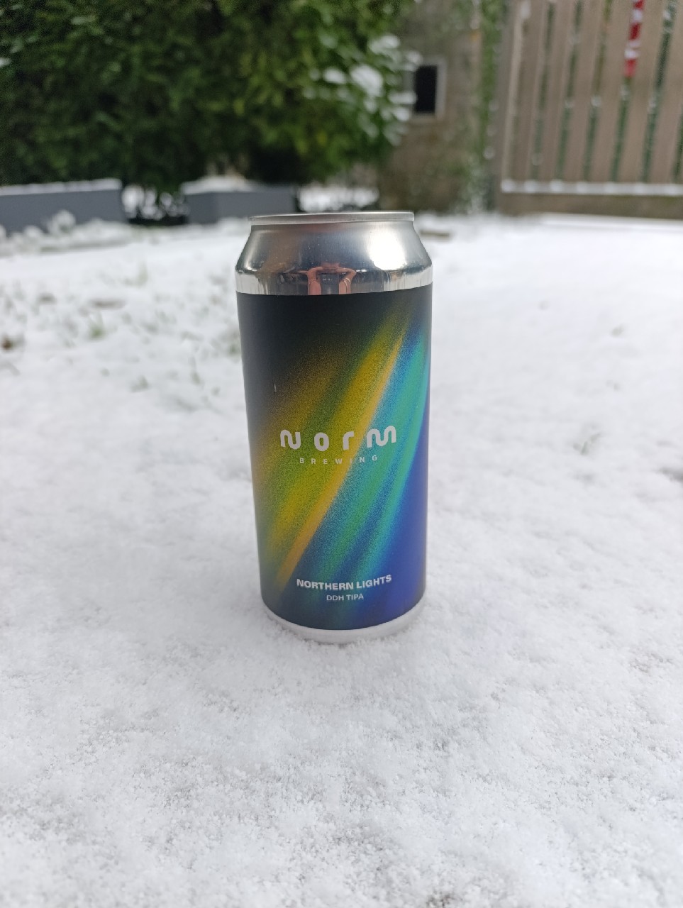 Northern Lights, Norm Brewing