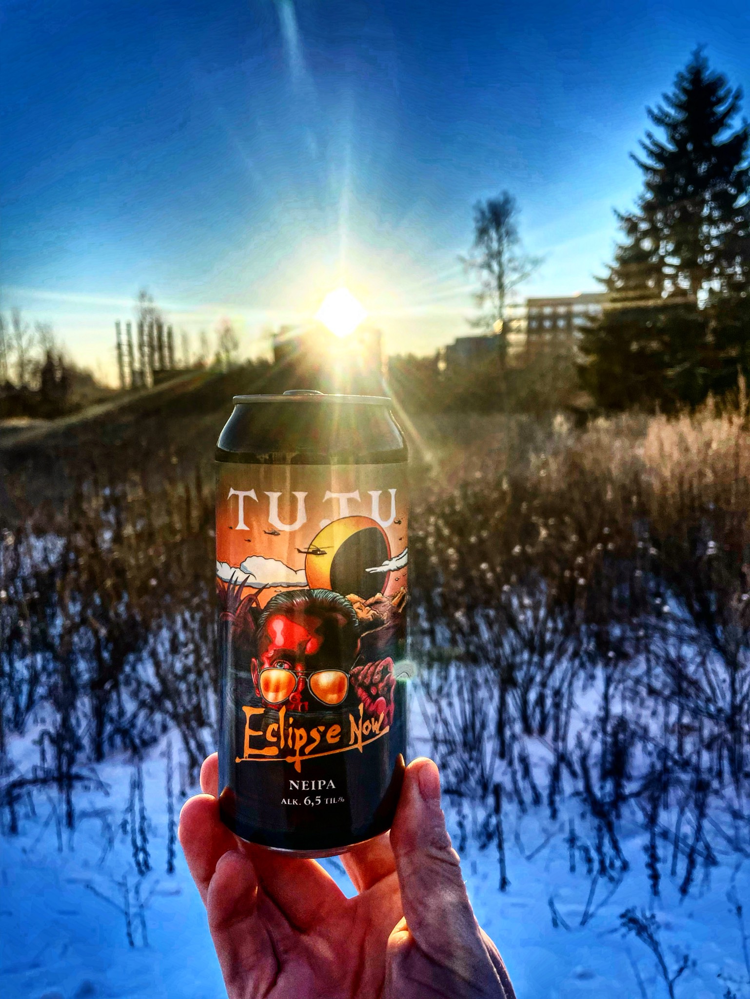 Eclipse Now, Finland