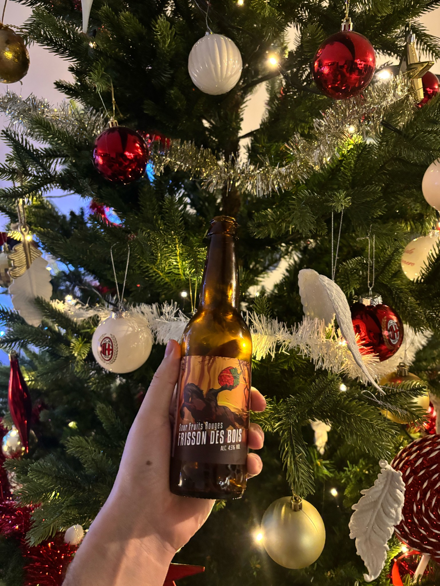 Sour fruits rouges - Frisson des bois, Brasserie Du Grand Paris