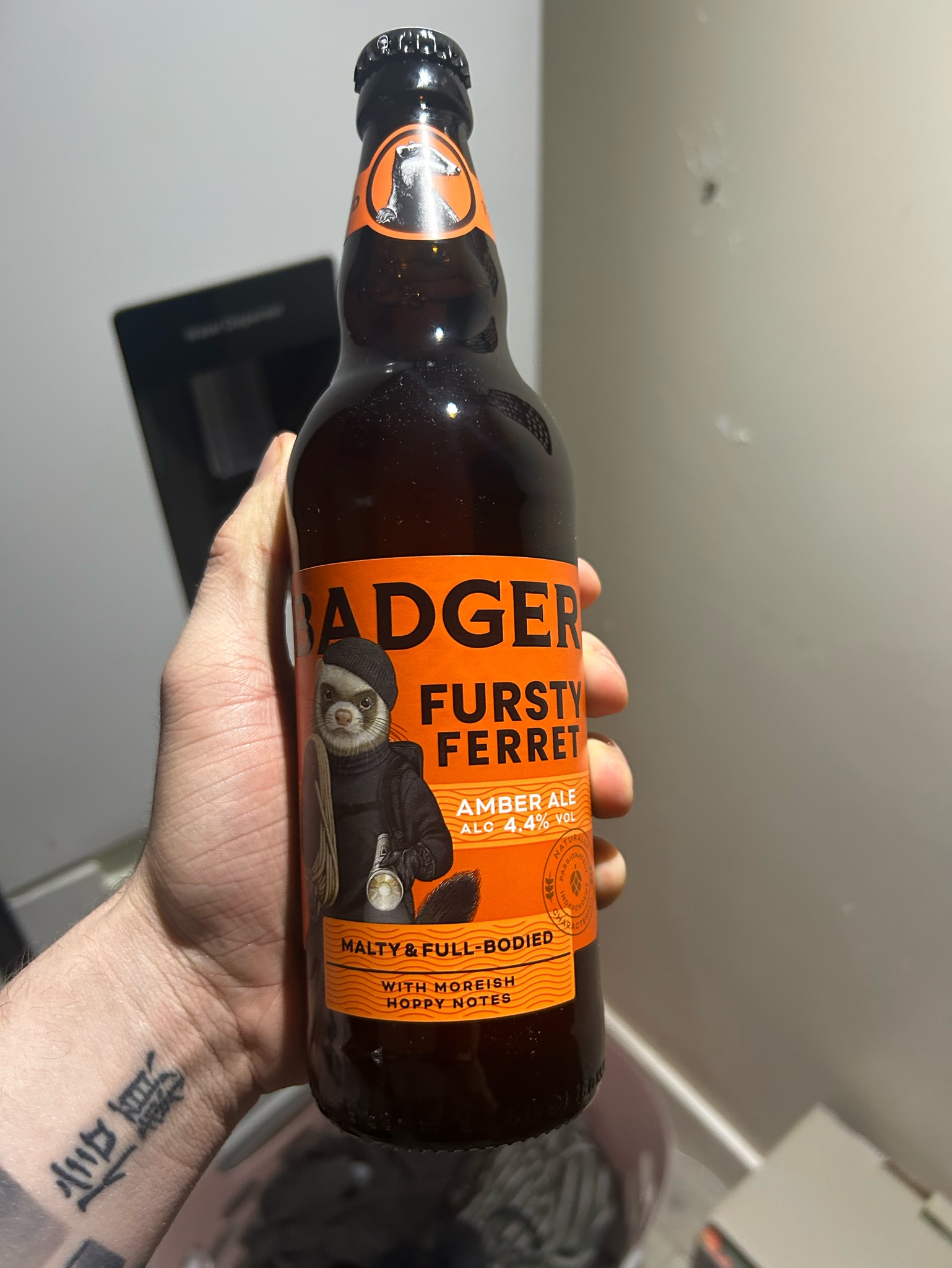 The Fursty Ferret, Badger Brewery (Hall & Woodhouse)