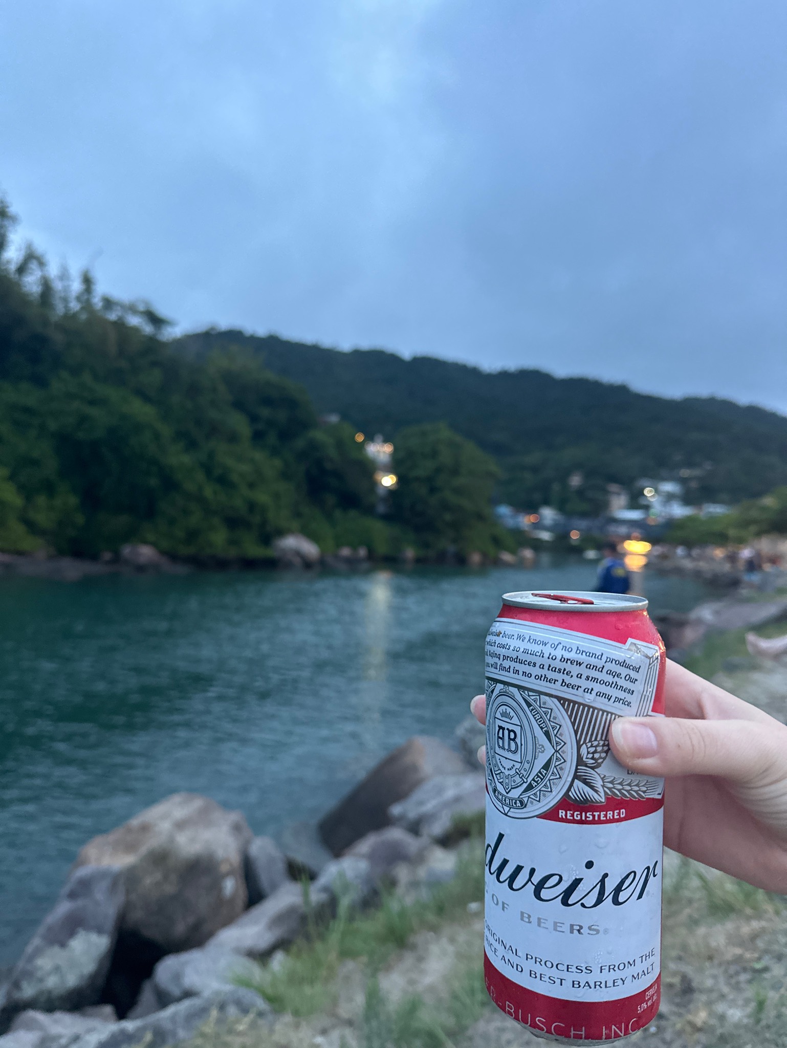 Budweiser / Bud, Anheuser-Busch InBev