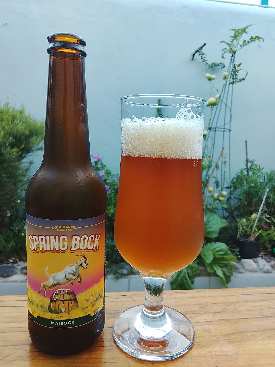 Spring Bock, South Africa