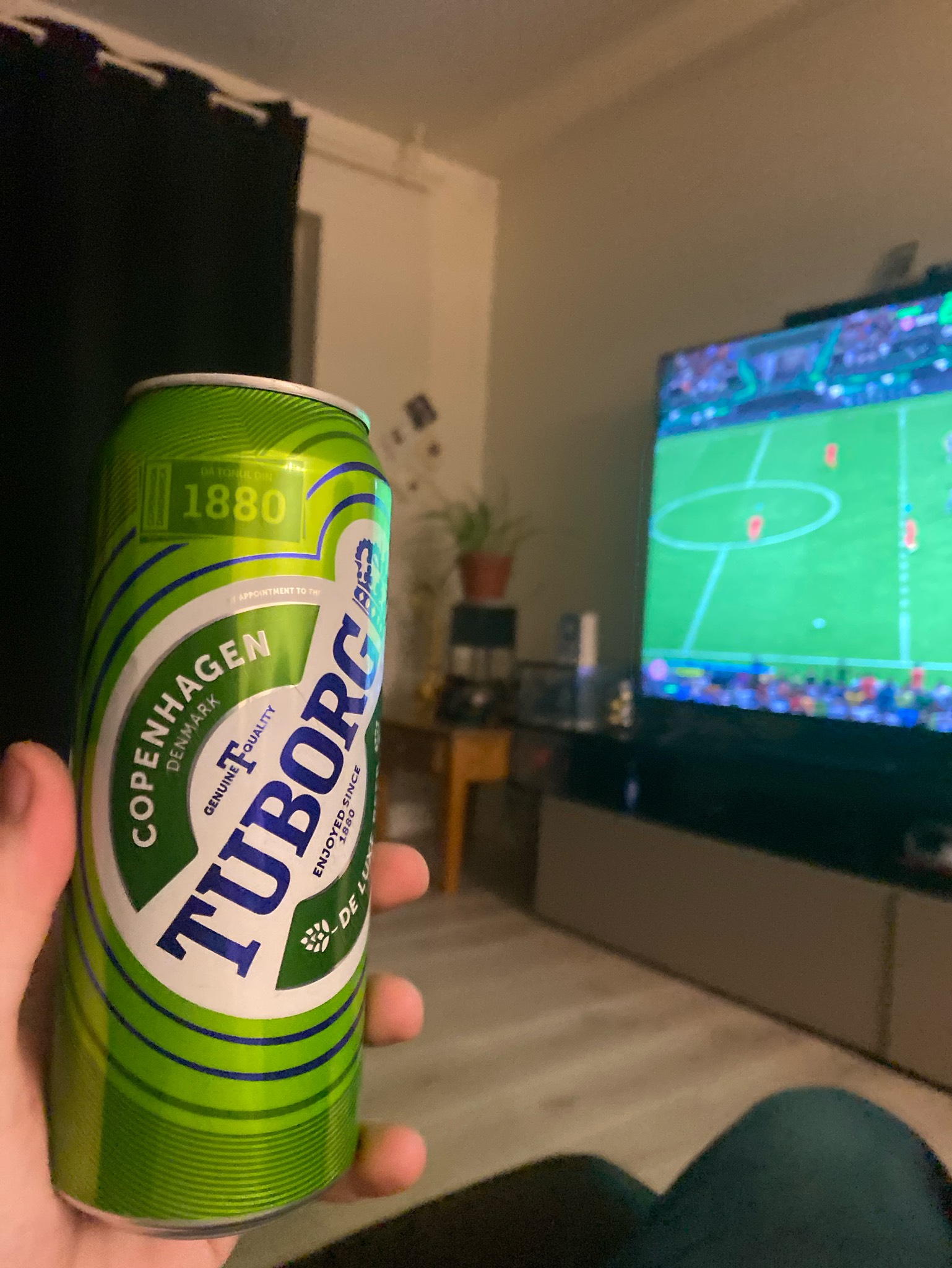 Tuborg, Carlsberg Group