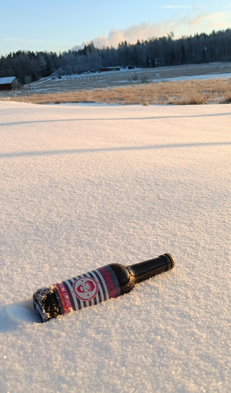 Große Freiheit, Wildwuchs Brauwerk Hamburg