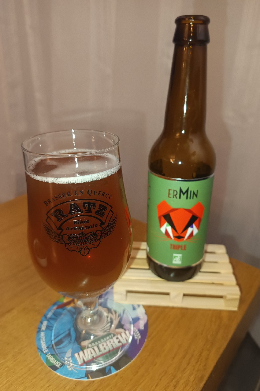 ErMin Triple, France