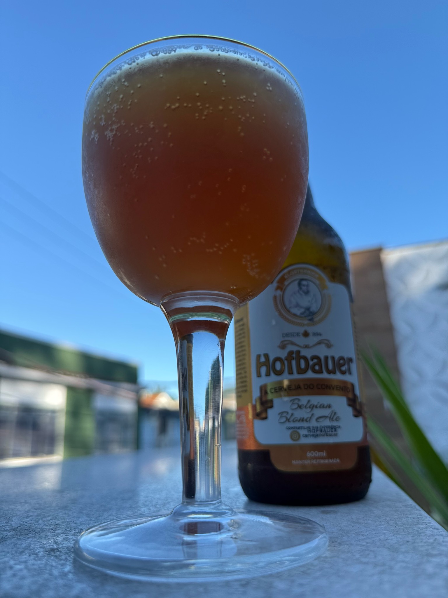 Hofbauer Belgian Blond Ale, Brazil