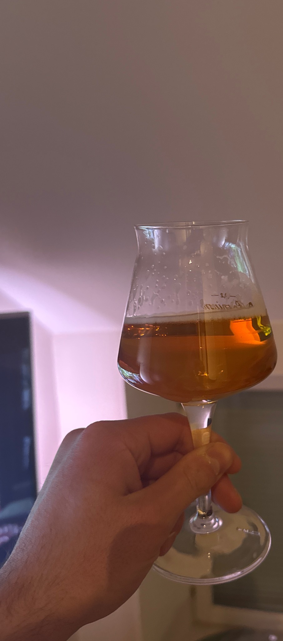 El Cocodrilo, Salama Brewing Company