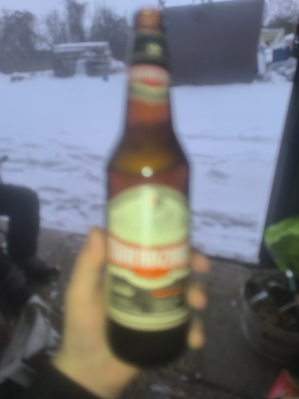 Raciborskie Pivo Twierdzowe, Browar Zamkowy W Raciborzu