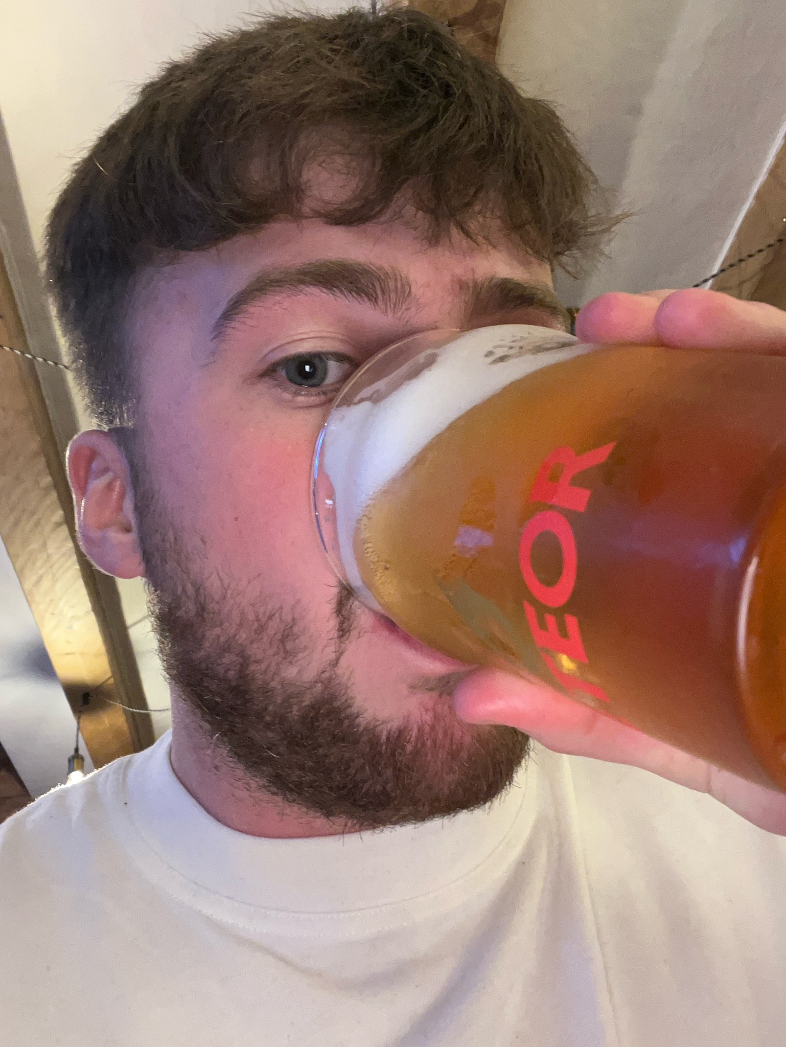 Meteor Pils, Brasserie Meteor