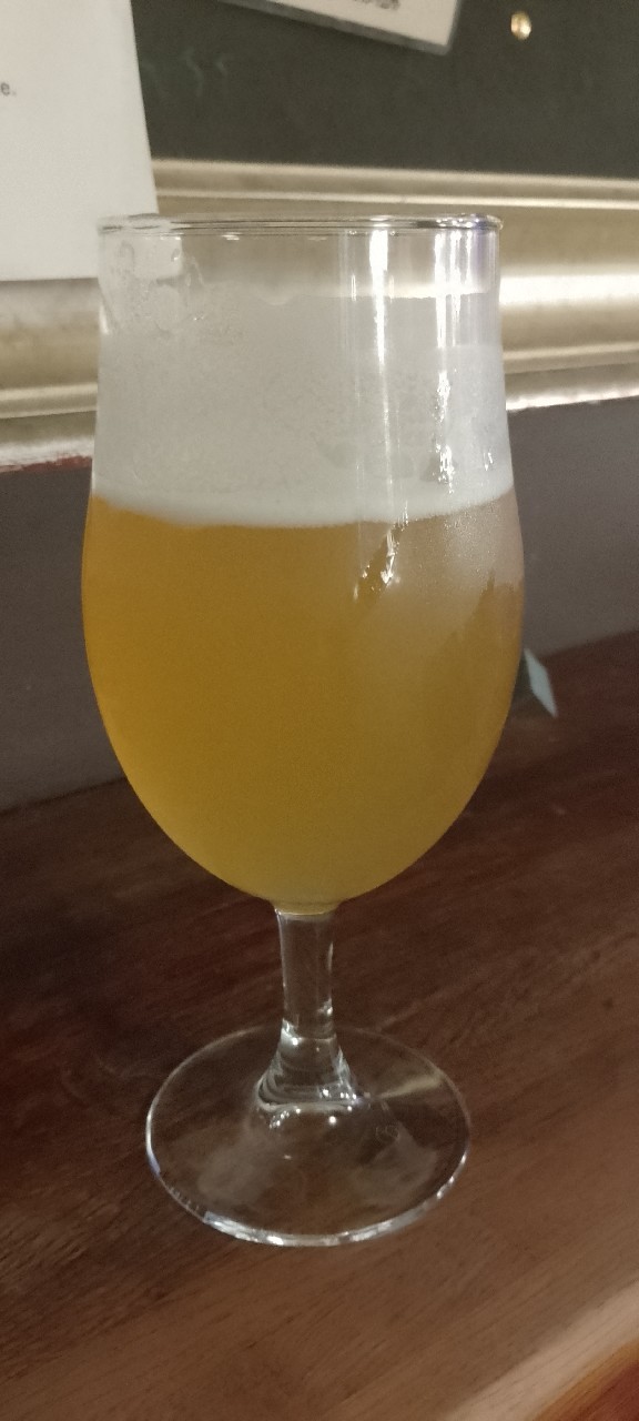 Easy IPA, Seven Bro7hers Brewing Co.