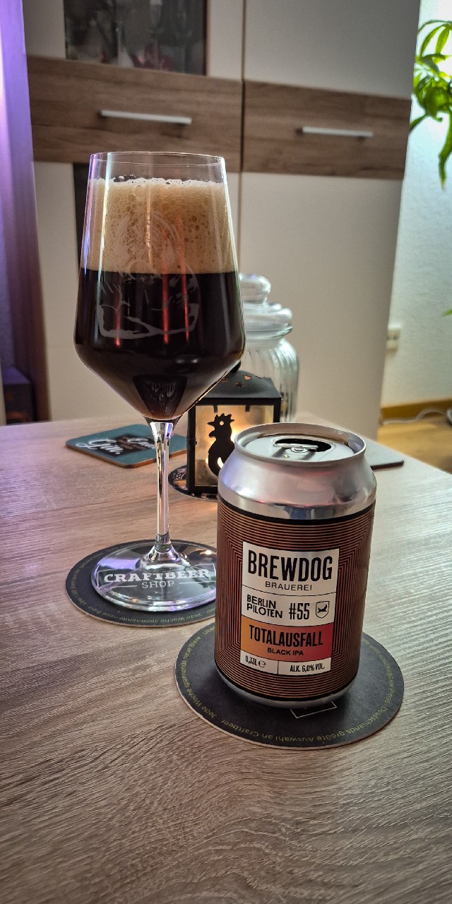 Pilot #55 Totalausfall, Germany