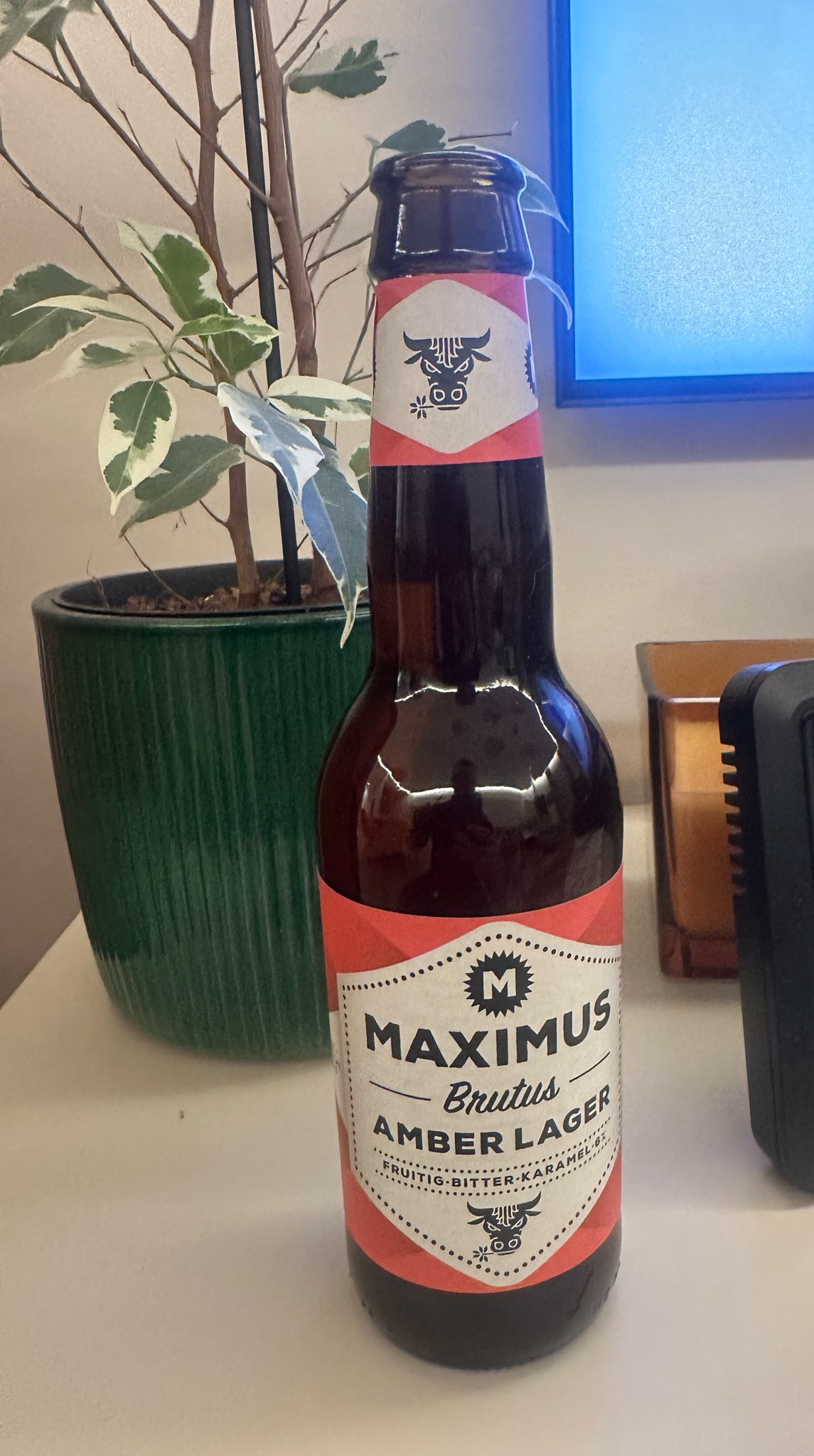 Brutus, Brouwerij Maximus