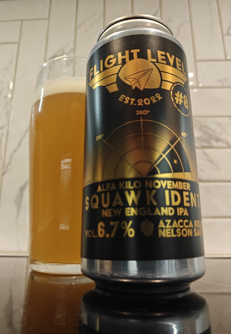 Alfa Kilo November Squawk Ident #8, Finland