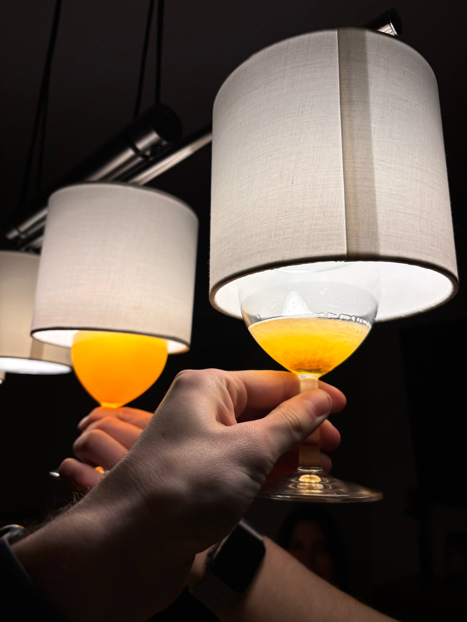 Total toast hawai, Sudden Death Brewing Co.