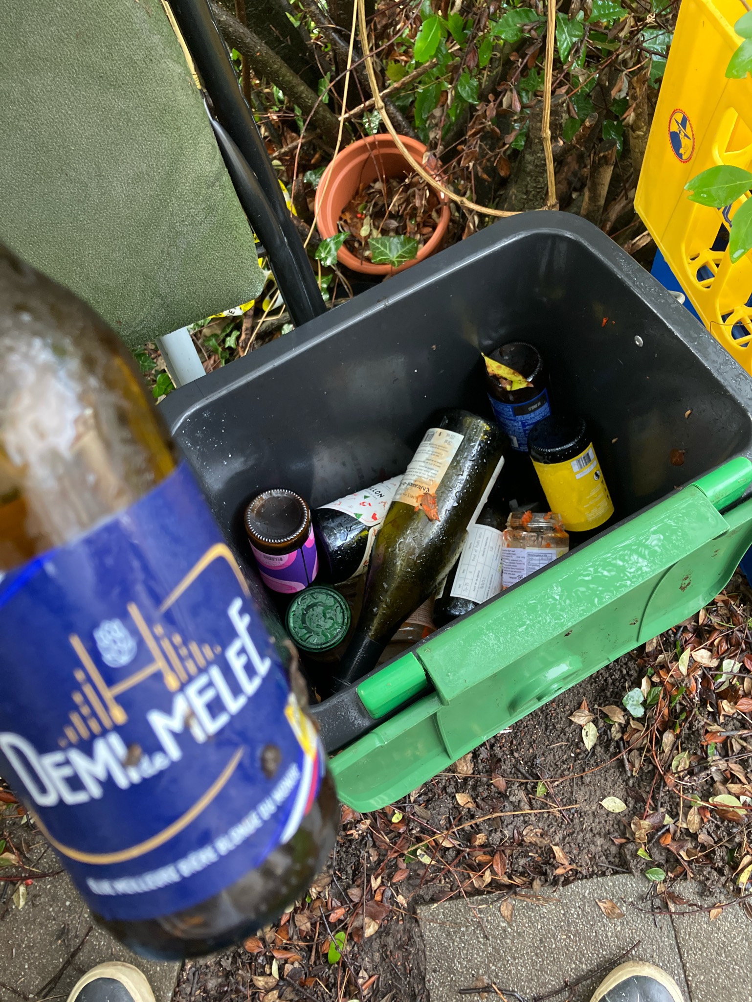 Demi De Mêlée Blonde, Belgium