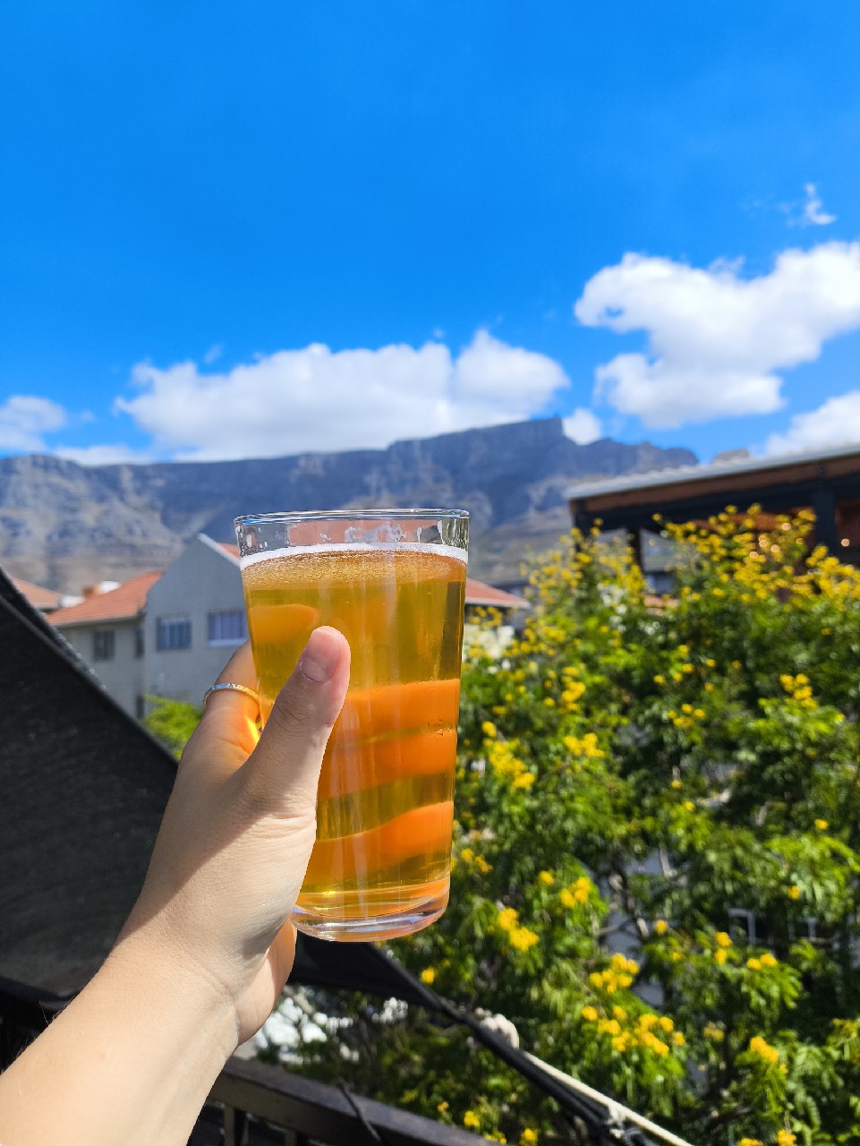 Rocky River Pale Ale, Saggy Stone Brewing Co.