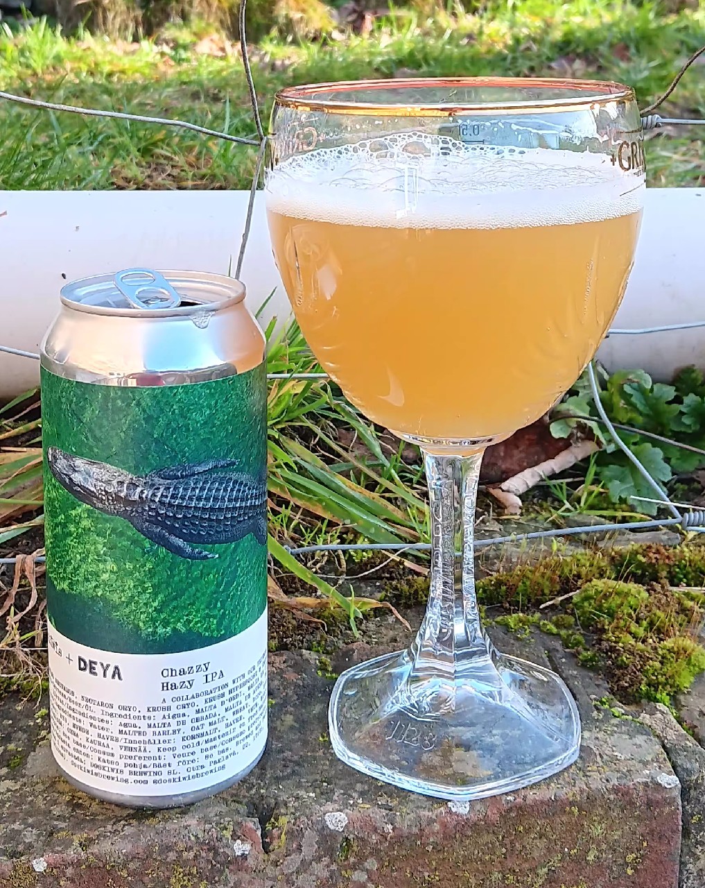 chazzy hazy ipa, DosKiwis Brewing