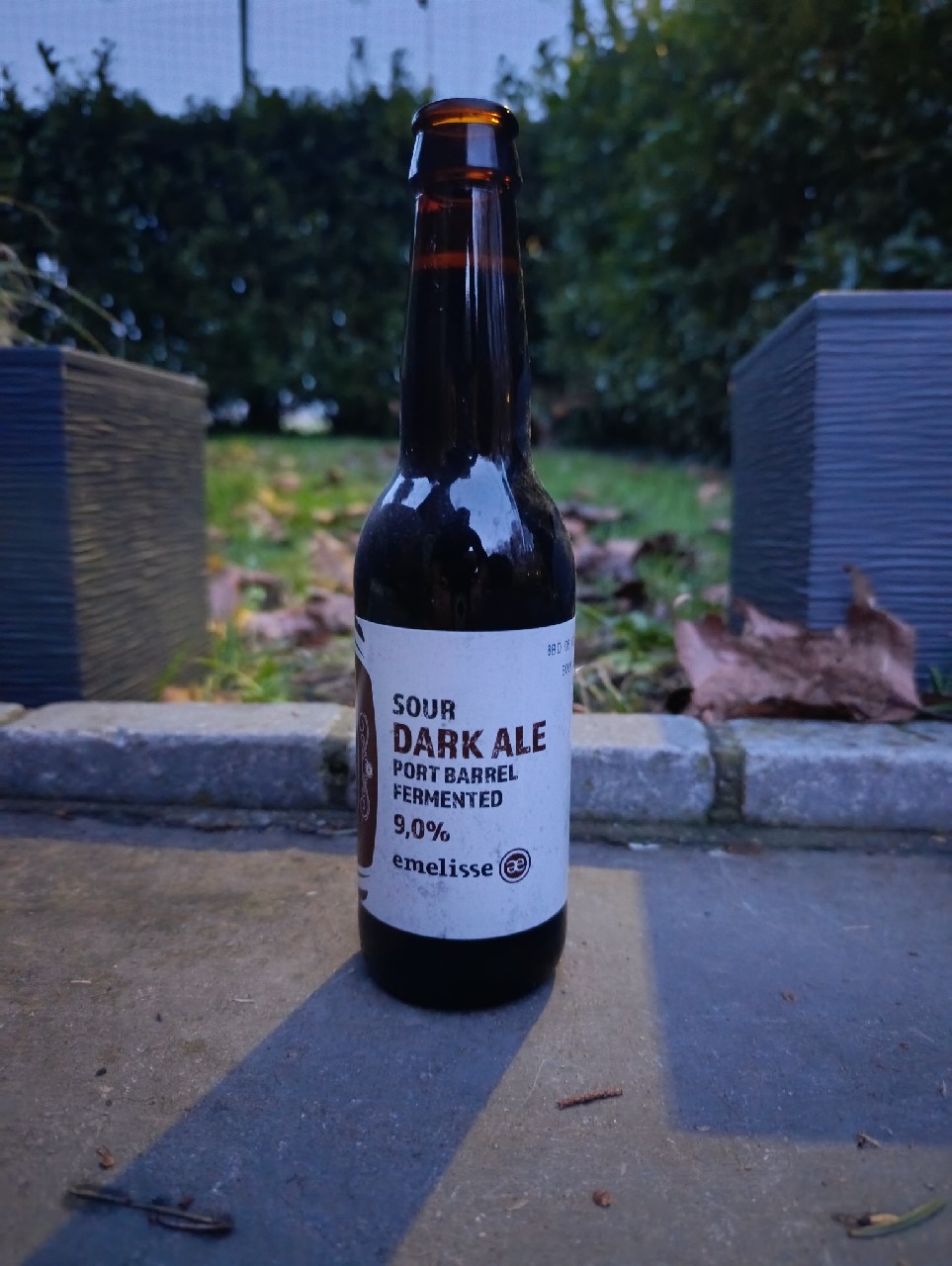 Sour Dark Ale Port Barrel Fermented, Netherlands