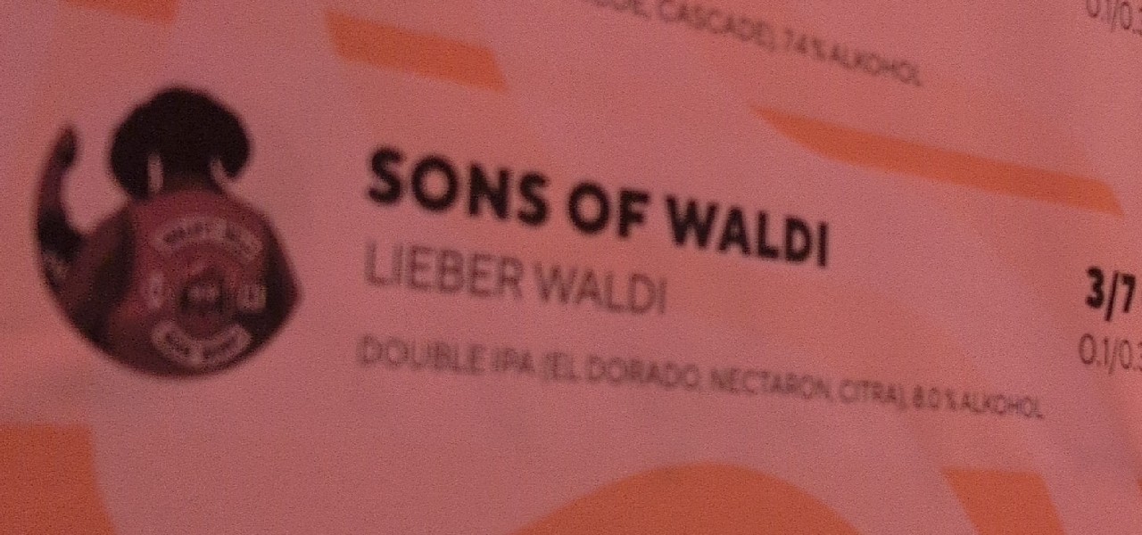 Sons of Waldi, Lieber Waldi