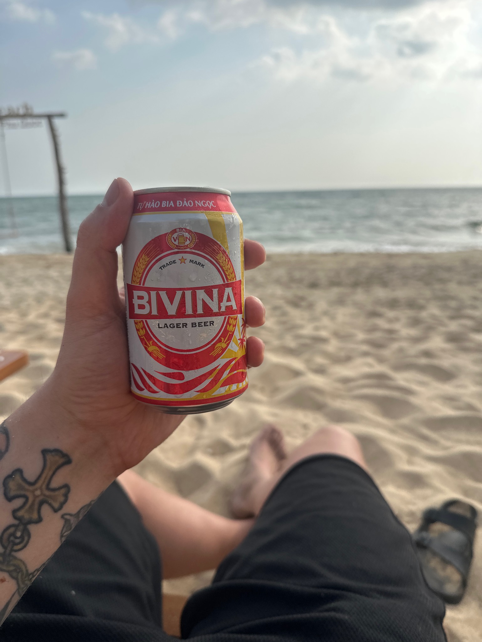 Bivina, Heineken Vietnam